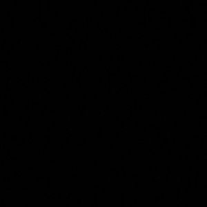 Meet your Posher, Neveah